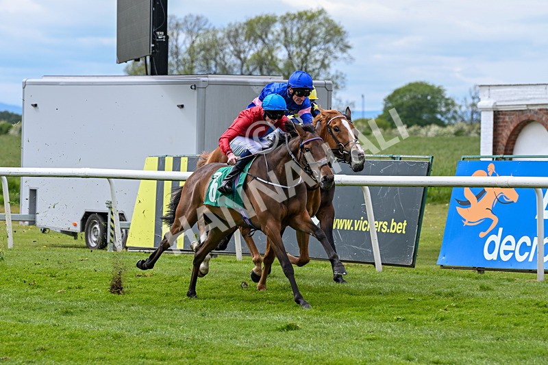 160526-Race 3-Caraway-9532 - Race 3 3.00pm Metaxas Handicap