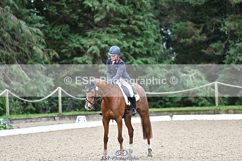 251022A-145127-00146 - C-206-Madison.Tapner