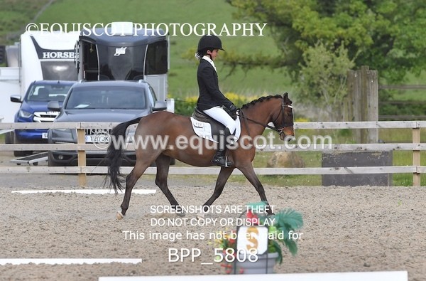 BPP_5808 - 7 K QADEER