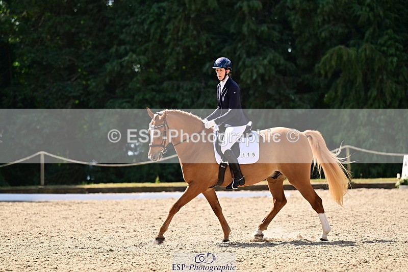 260731A-105834-00171 - Elementary Bronze 10.30 - Break