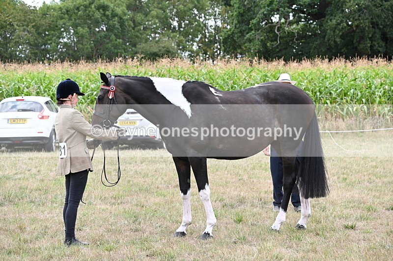 WJ6_5623 - Class 18 In-hand Coloured