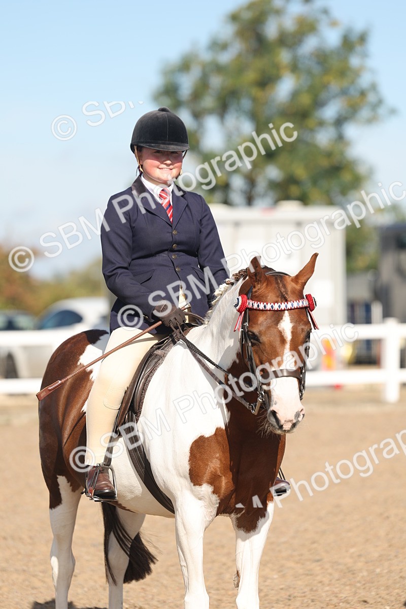 SBM_12364 - Class 304 - Ridden part Bred Horse Pony