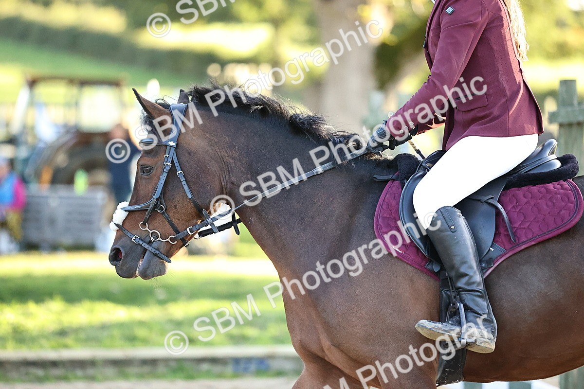 SBM_54273 - Supreme Championship 70cm 75cm