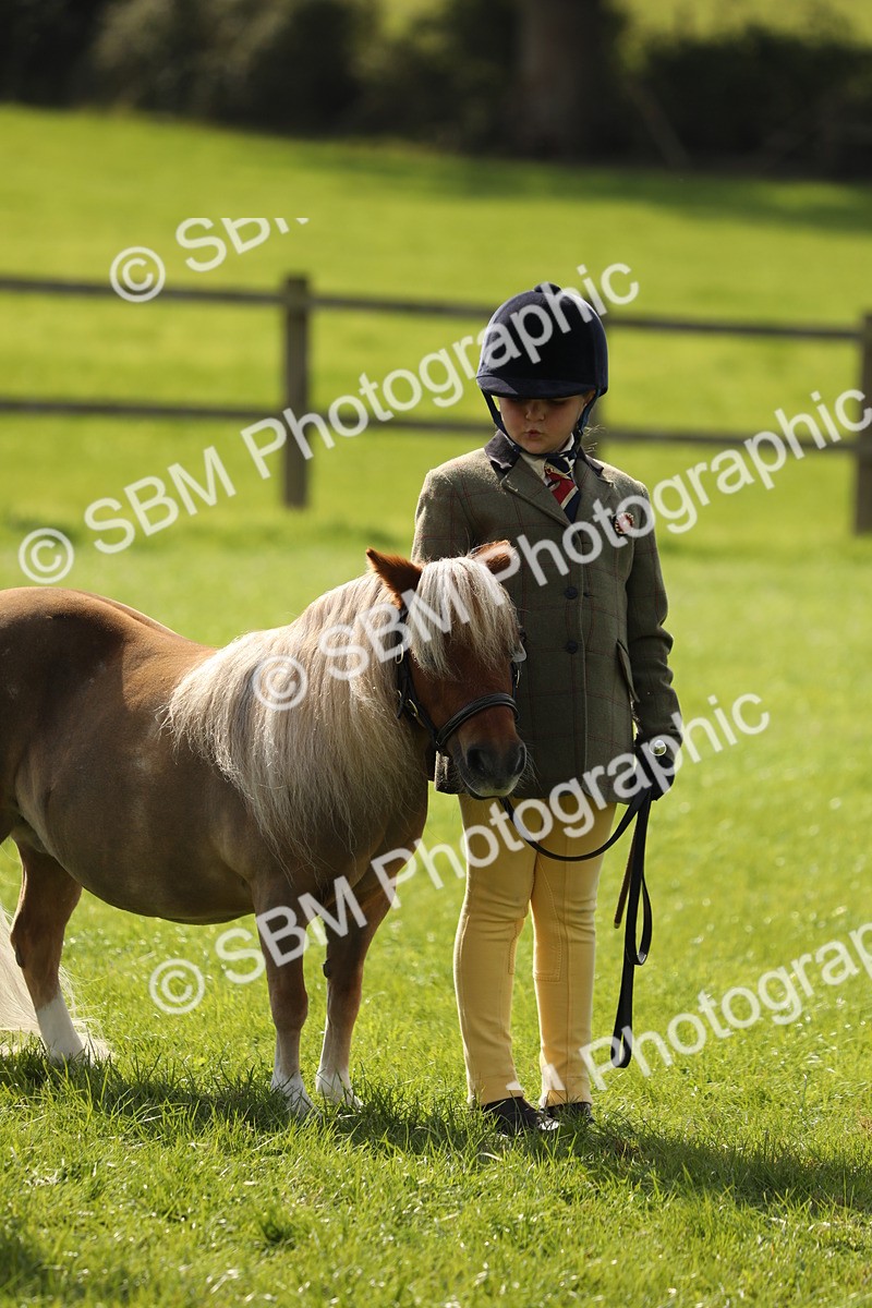 SBM_67805 - S39 - Junior Handler 8  Years & Under