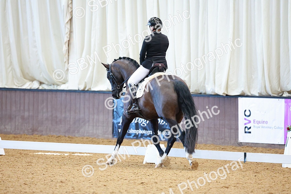 SBM_001266 - Class 18-15-16-22 - Elementary 5 Novice 5-Novice 6