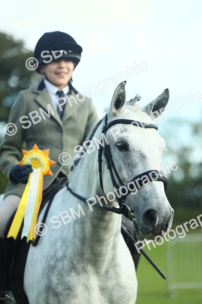 SBM_49945 - S32 - Novice & Newcomers Working Hunter