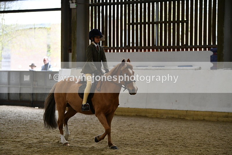 WJ5_7258 - Class 11 Ridden PC - RC Pony
