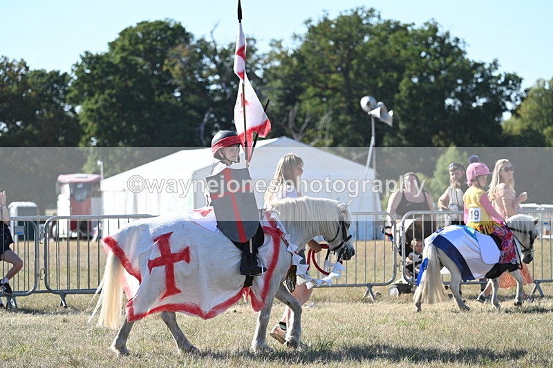 WJ7_2838 - Class 45 Fancy Dress (My Fav)