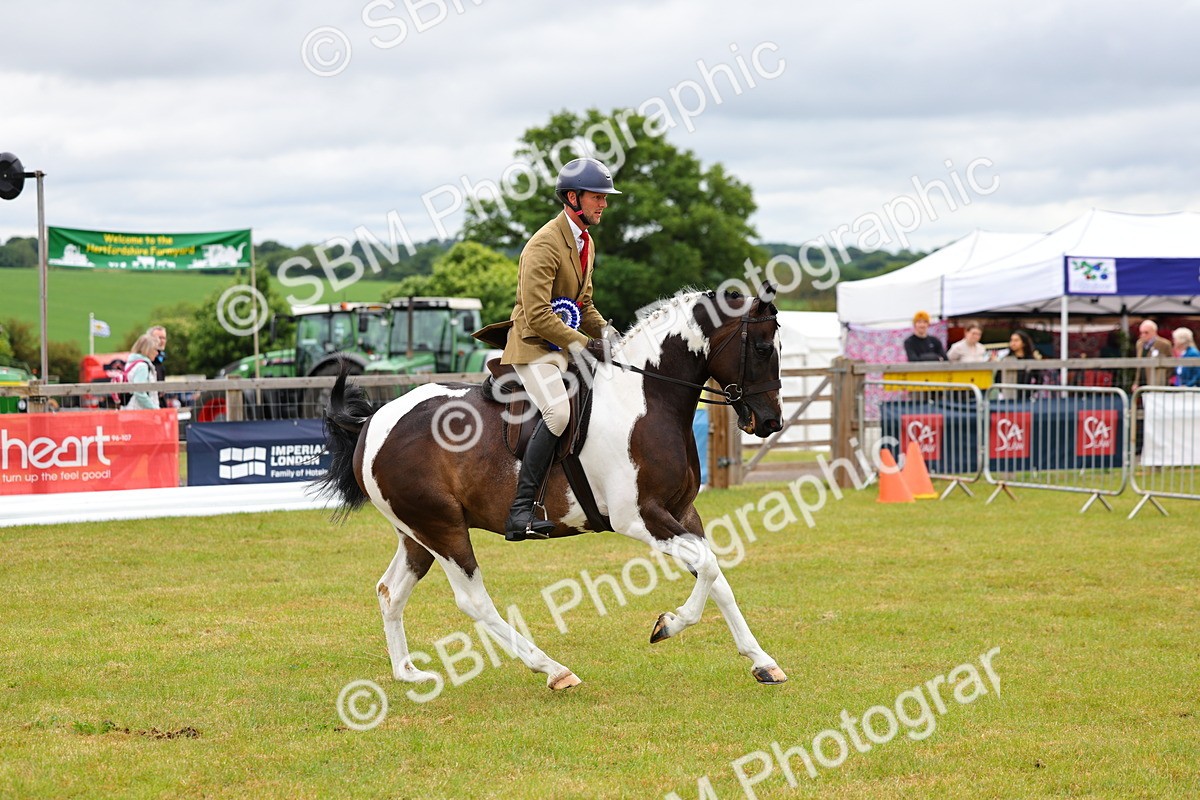 SBM_02674 - Class 9-11 Side Saddle including LIHS Rising Star Ladies Show Horse