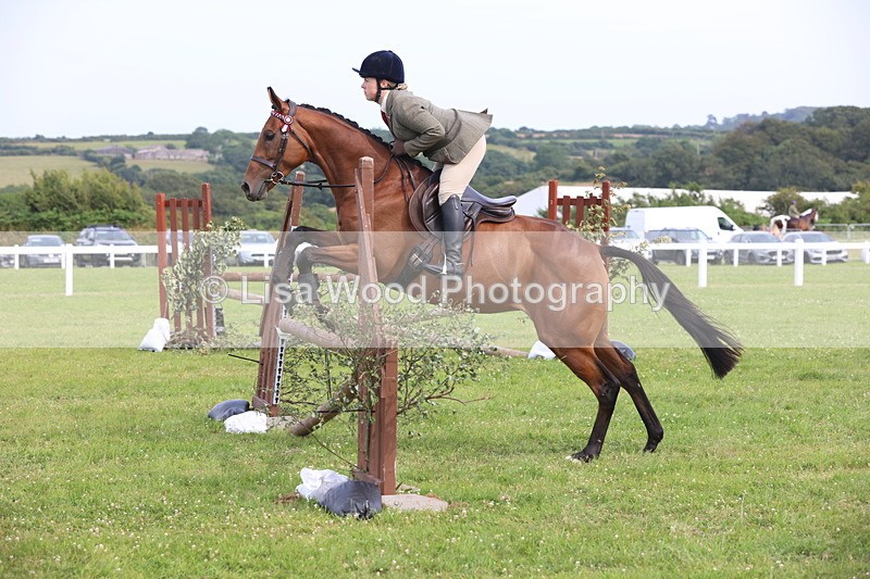 JPP_4196 - Class 25: Working Show Horse