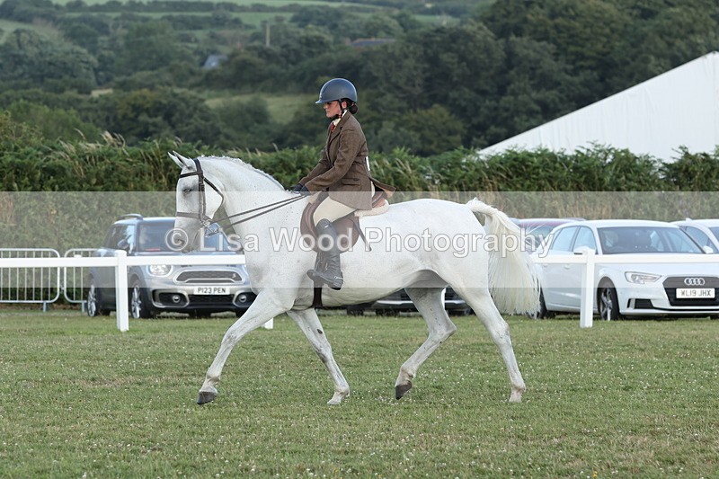 JPP_3696 - Class 24: Open Working Hunter