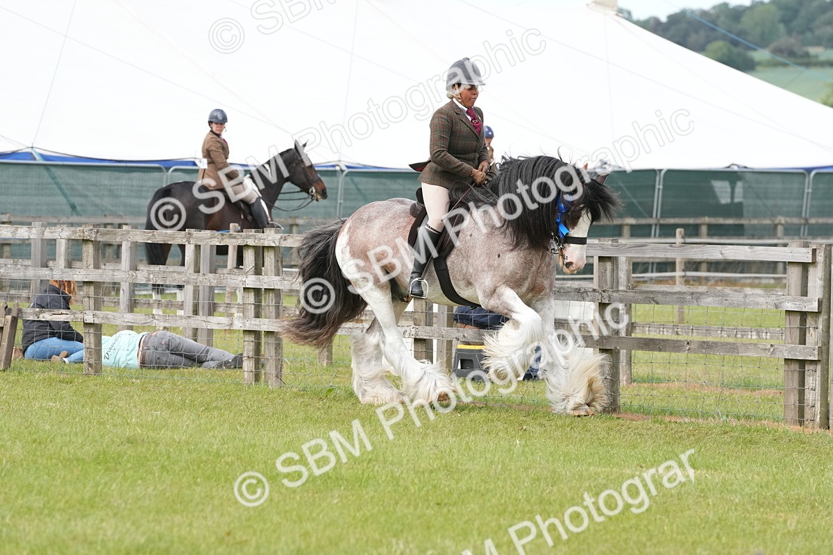 SBM_17659 - Class 107-108 - LIHS BSPS Performance Coloured Horse Pony