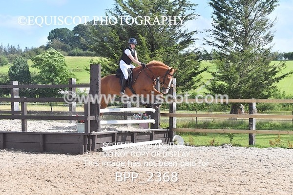 BPP_2368 - DERBY CLASS 7 - 80CM