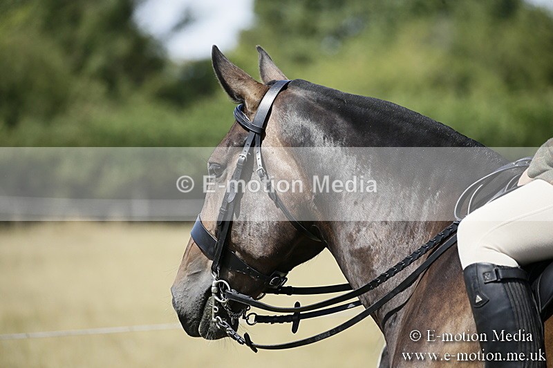 LP220718-8 - Roving Camera BVRC Show 2018