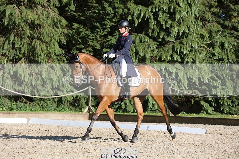 230526-175046-08043 - 182-HARTHILL_FLAMENCO-Izzy_Taylor-WEDTrotUp+DR