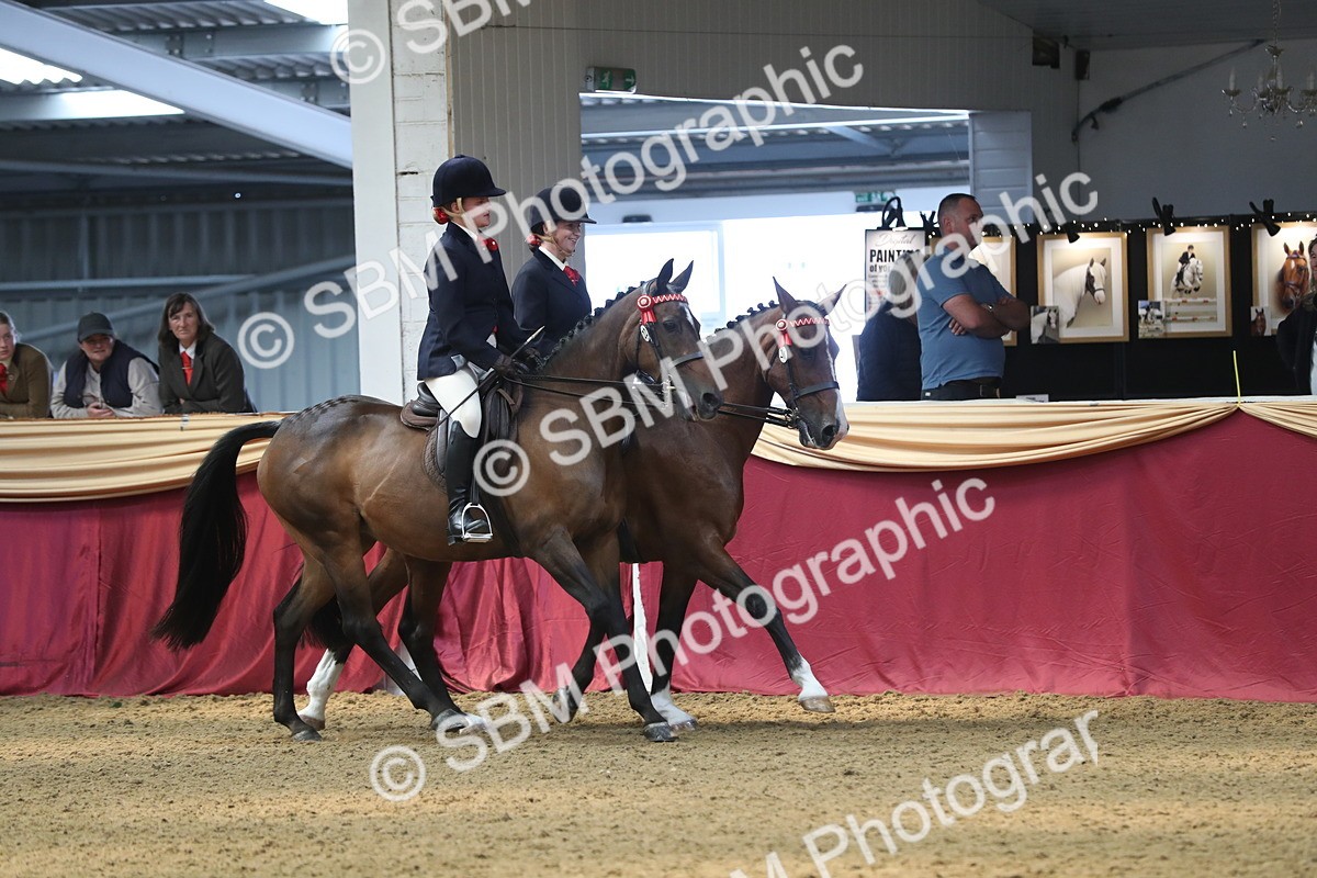 SBM_13653 - Class 109 Ridden Pairs - Section B