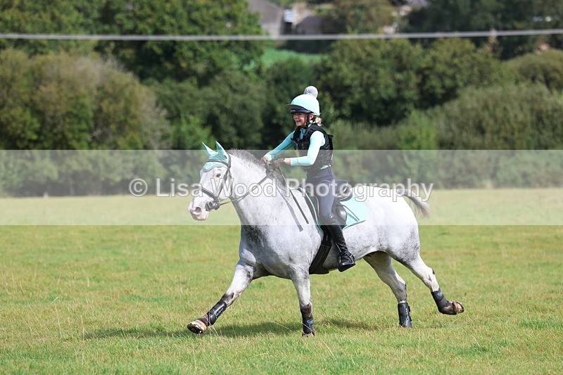 3E7A6420 - Class 1: Trebudannon Open: Pheasant Feeder
