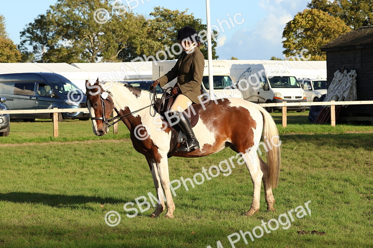 SBM_53038 - S29 - Mature Veteran Ridden