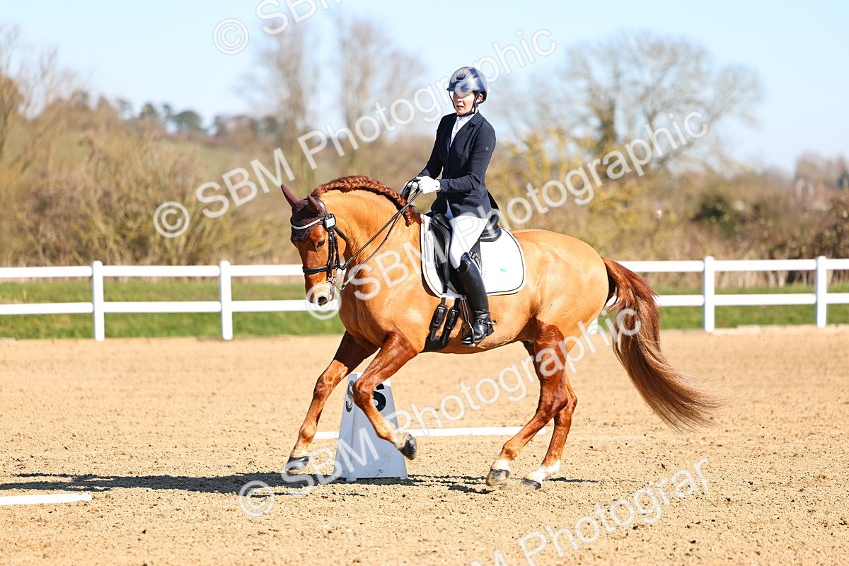 026A8533 - Class 2-6-5-4 - Paso Doble-Sevilla-Golega-Novato