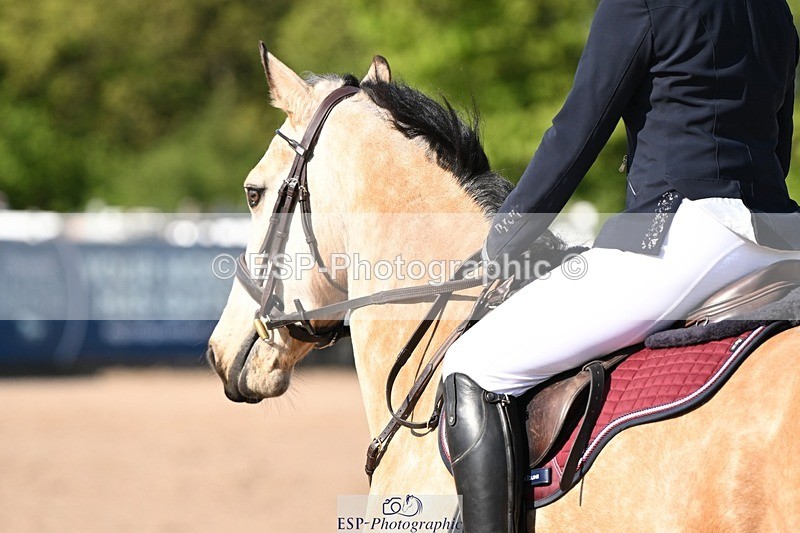 250510-092135-09901 - Cls 19 Snr British Novice and 90cm Open