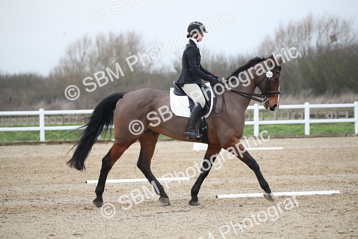 SBM_005781 - Elementary 1