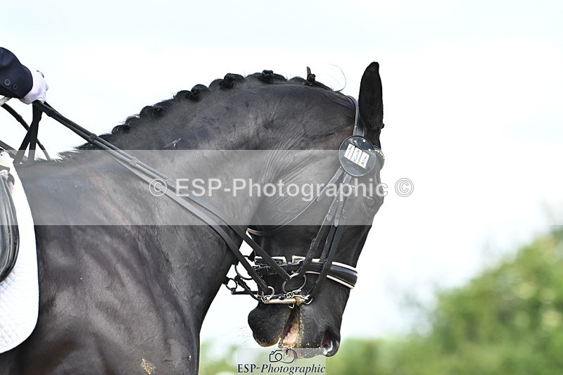 240621A-121354-02071 - Cls 7 BD Elementary 45