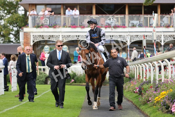yr04092022r2-36 - Race 2 2.20pm John and Judith Marshall Memorial Stakes