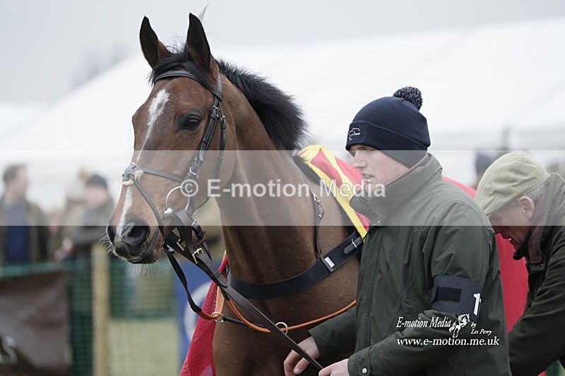 PtP 040323 767 - Duke of Beauforts Hunt Point-to-Point Didmarton 04/03/23