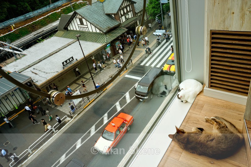 DSC04871 - Tokyo