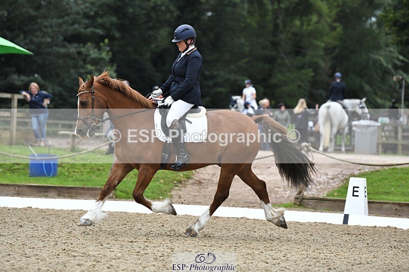 230812-091823-02760 - Cls 6 Novice Silver Start to 10.20 break