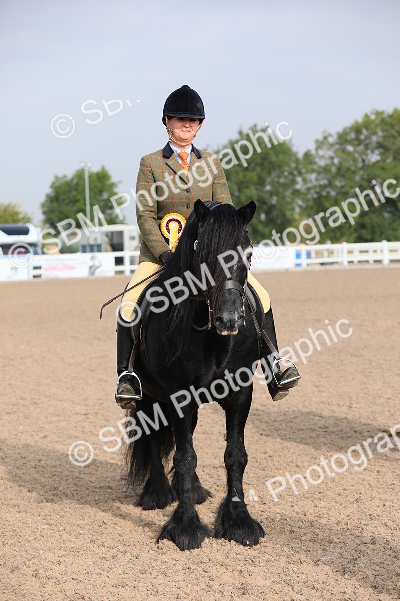 SBM_10166 - Class 302 Ridden M&M -Large Breeds