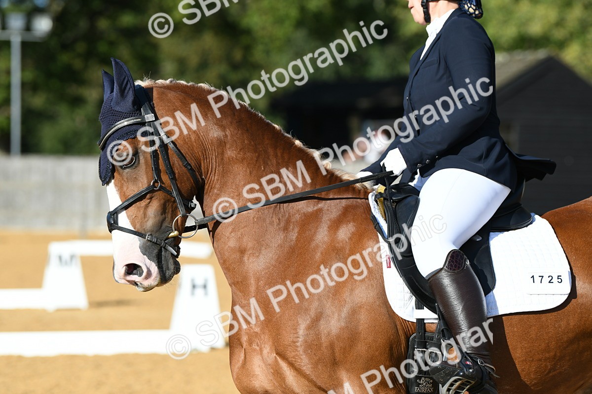 SBM_27310 - D16 - Small Tour Championship - Novice 28