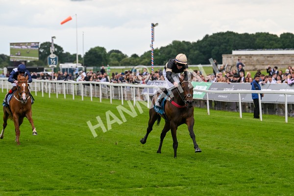 140624-Race 3-Alfa Kellenic-4315 - Race 3 3.00pm British EBF Supporting Racing With Pride Fillies' Handicap