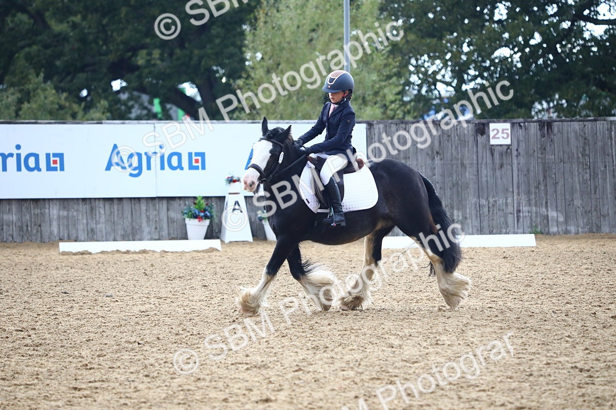 SBM_42597 - D21 - Junior Championship Intro 1