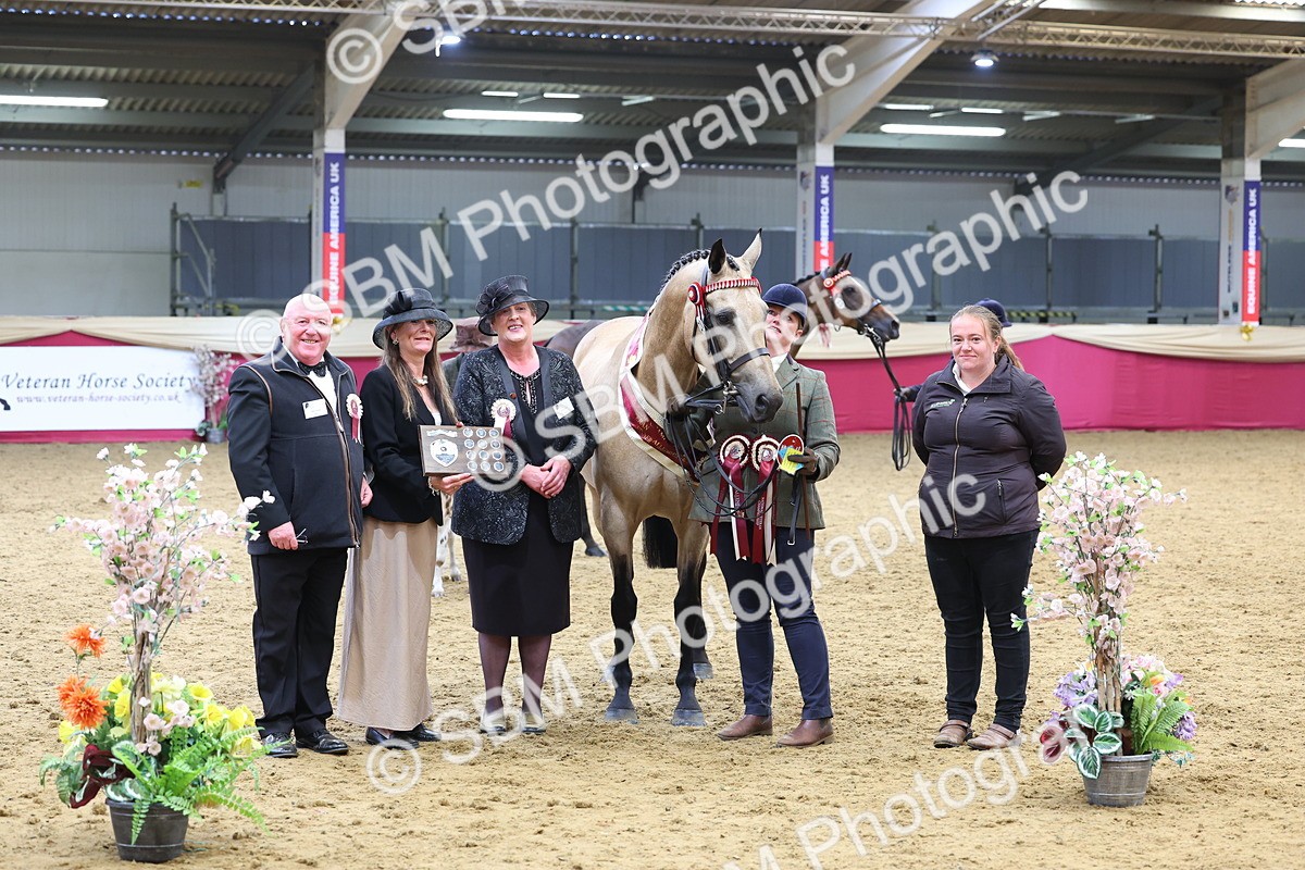 SBM_21194 - Class 902 - Supreme Final IH Veteran