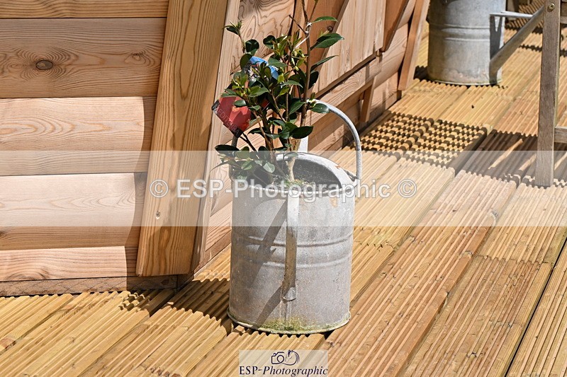 240608A-140426-02706 - Cls 4 Snr Newcomers and 1.10m Open