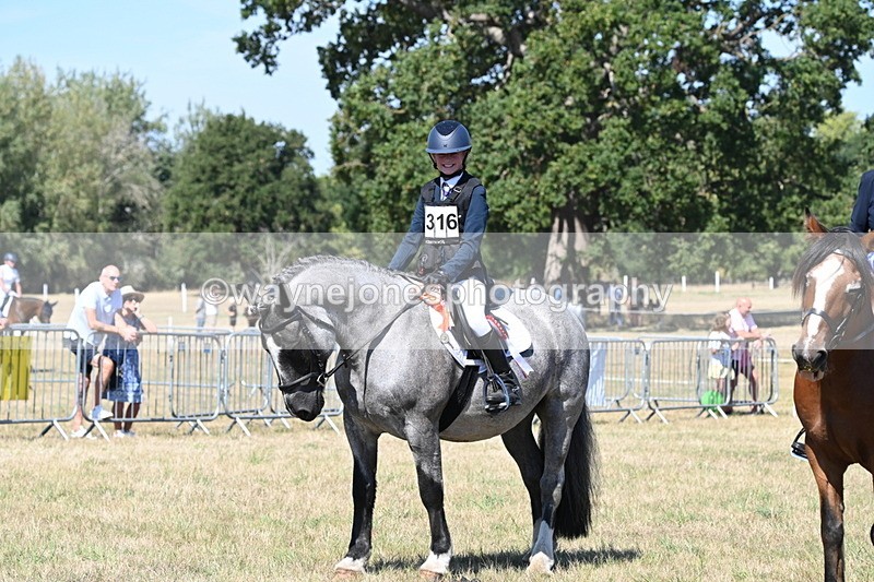 WJ6_8467 - Class 37a Best Loan Pony Ridden
