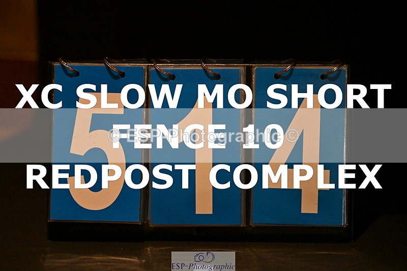 ESP_514 - G-514-Carolyn.Price With Trot Up