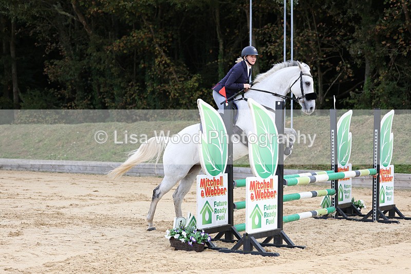 3E7A2202 - Class 4: Senior British Novice/90cm open