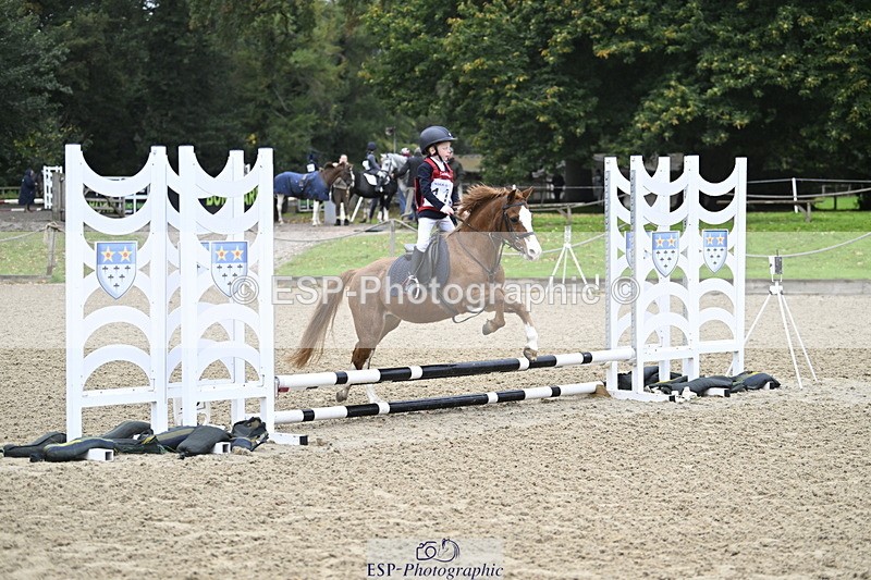 251005A-083418-02824 - Cls 01 GR 40cm