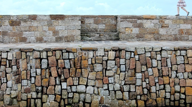 St Andrews Harbour - Landscapes