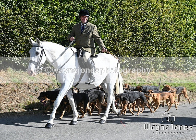 WJ7_0347 - Berks & Bucks - Hound Exercise – Kennels 06-09-26