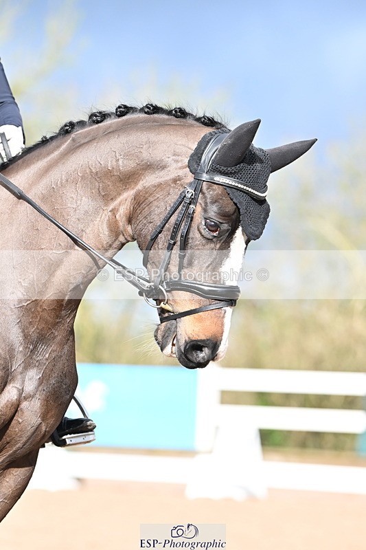 240218A-103349-05579 - 161-Katie.Warner-Active.Nuvalari