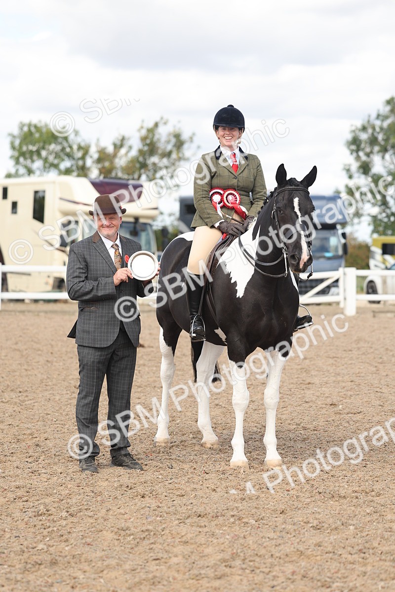 SBM_14835 - Class 308 - Ridden Coloured Horse