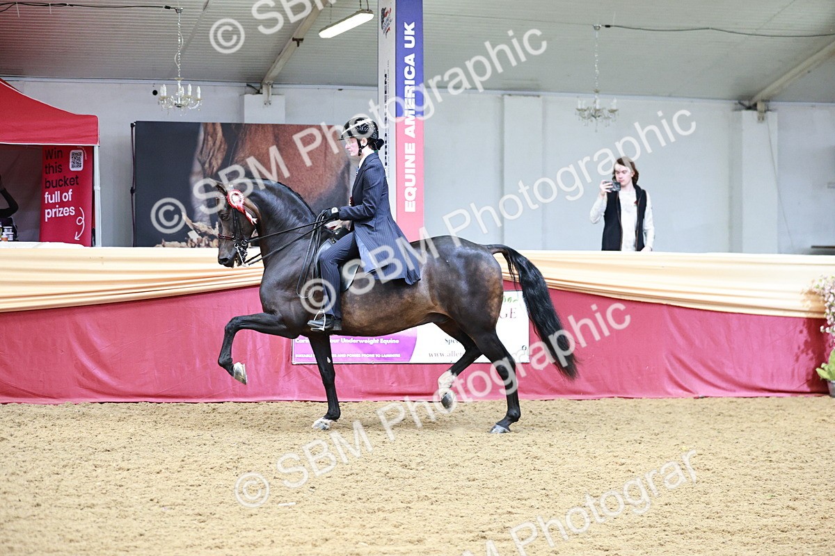 SBM_03717 - Class 6A Area Ridden Pre-Vet
