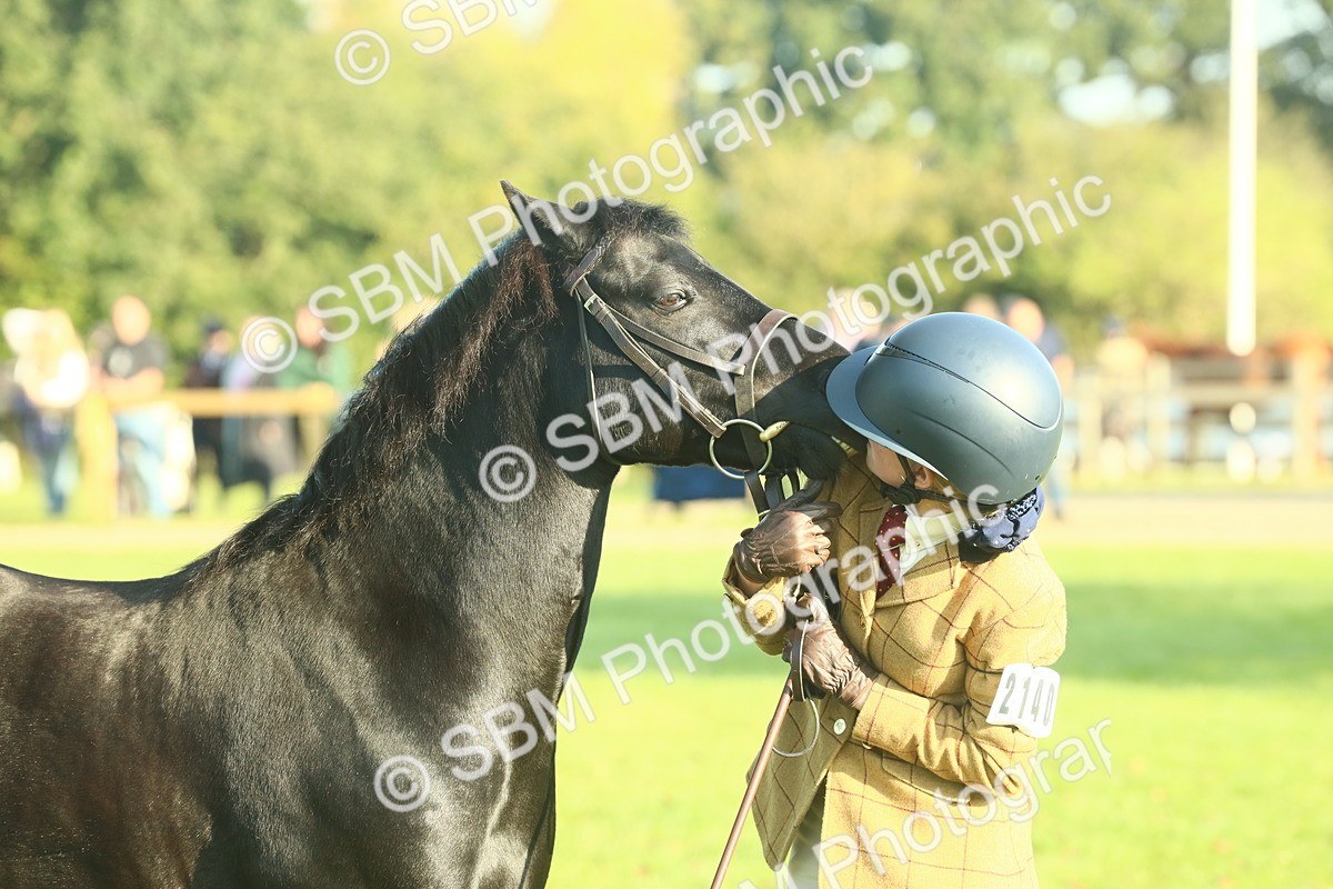 SBM_58454 - S37 - Starters In Hand Showing
