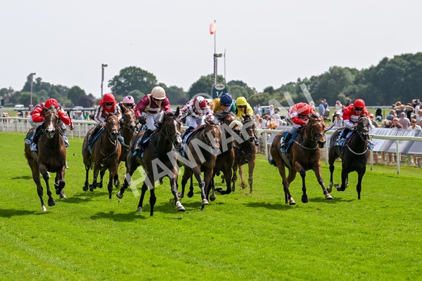 130625-Race 3-Easy Peeler-9003 - Race 3 3.00pm British EBF Supporting Racing With Pride Fillies' Handicap