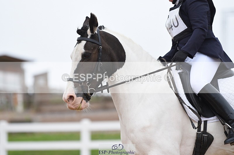 230708A-110854-01517 - Prelim 7