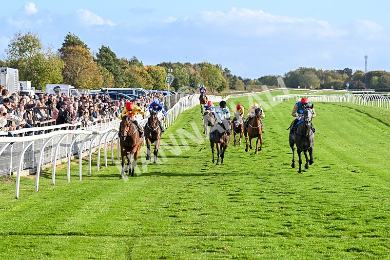 191024-Race 5-Vince Le Prince-4463 - Race 5