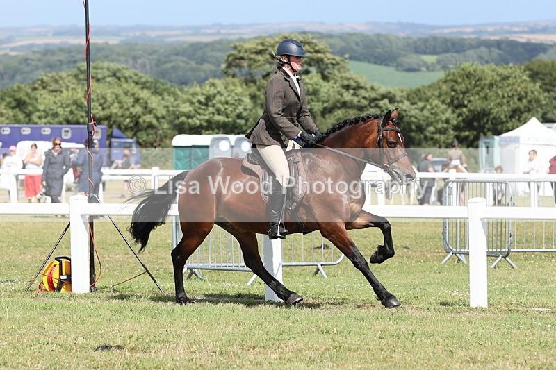 JPP_2472 - Class 19: Working Hunter 60cm